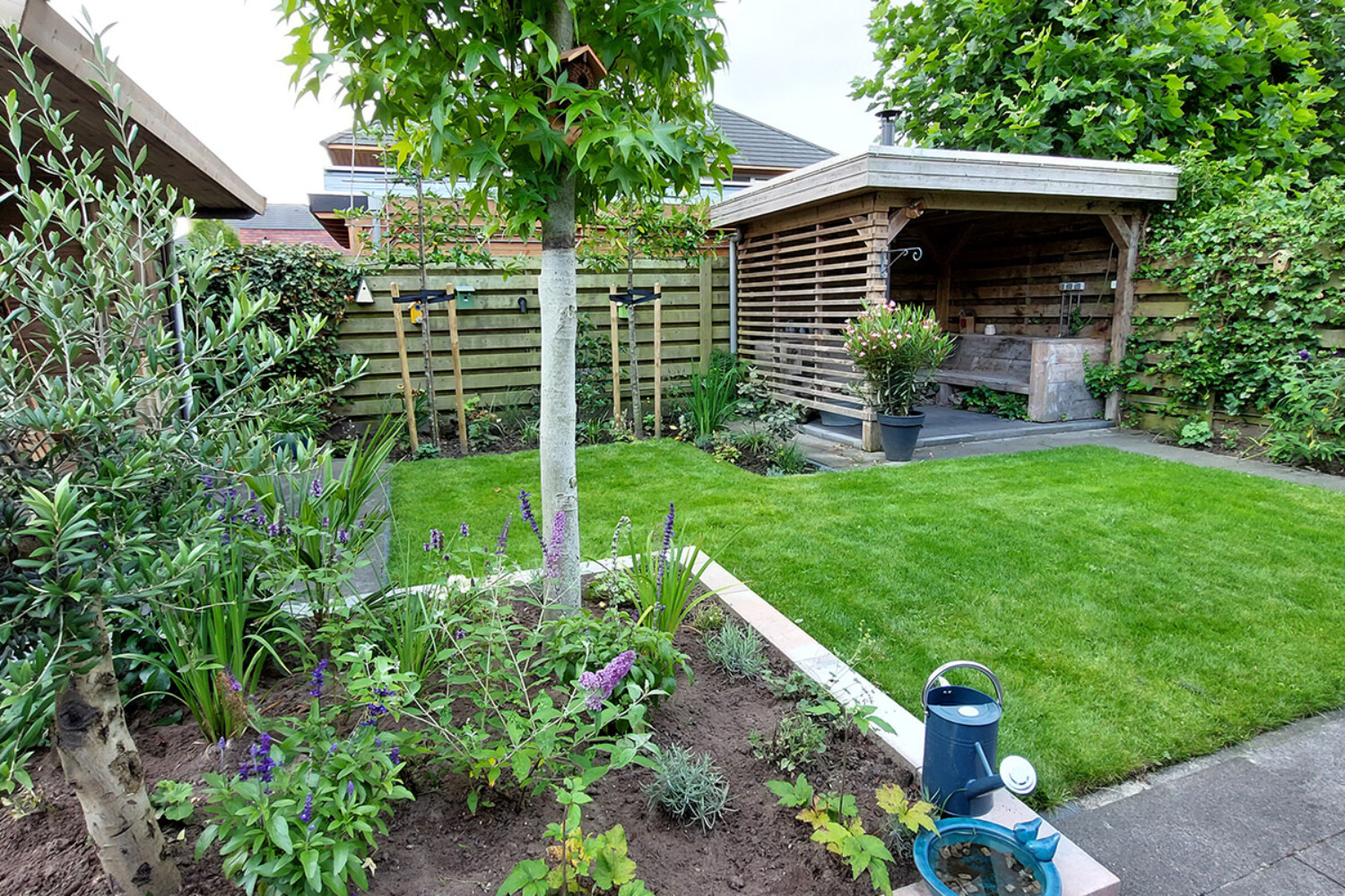 ToscaanseTuin_Achtertuin-Eelderwolde na