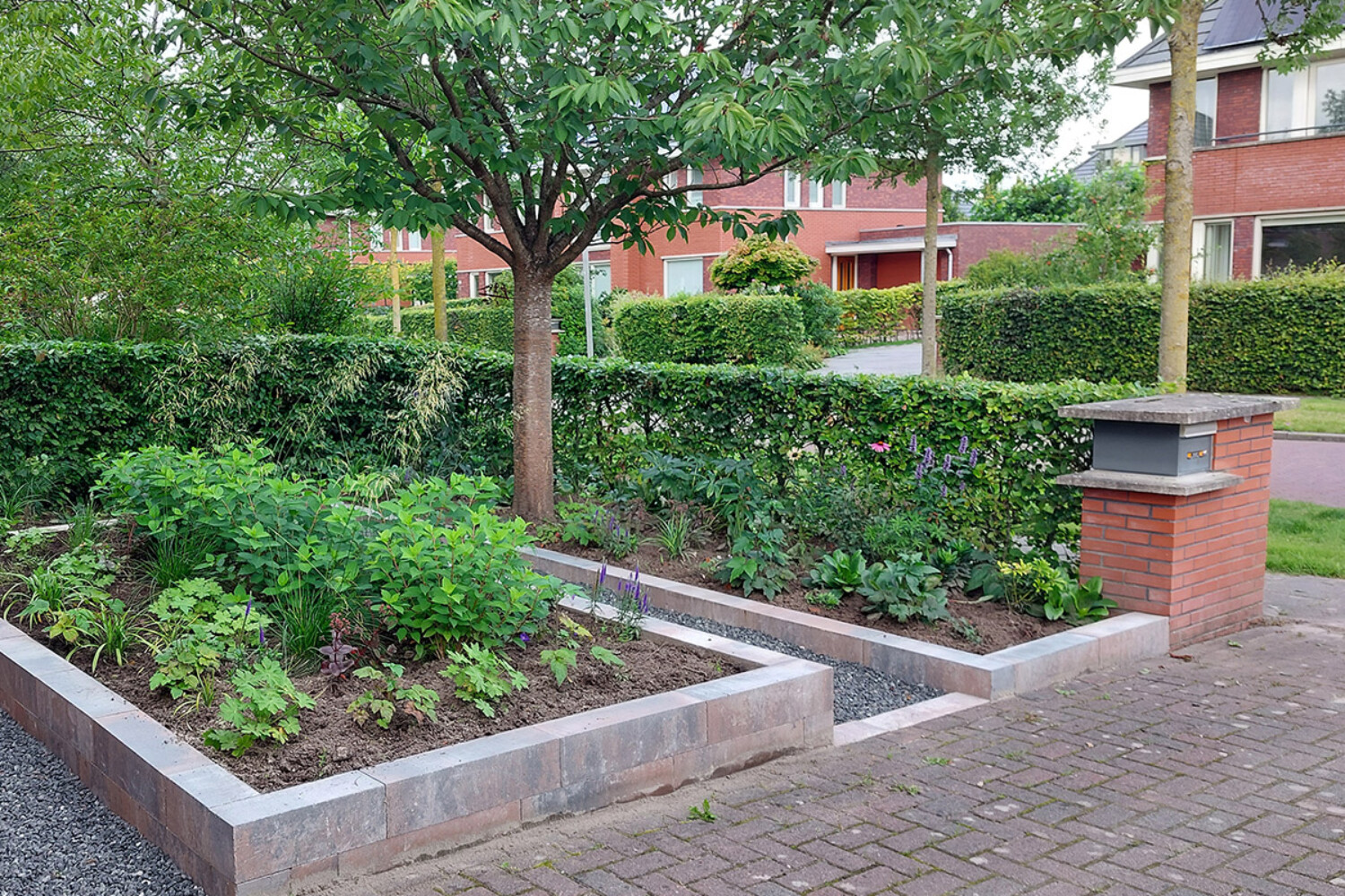 ToscaanseTuin_voortuin-Eelderwolde na